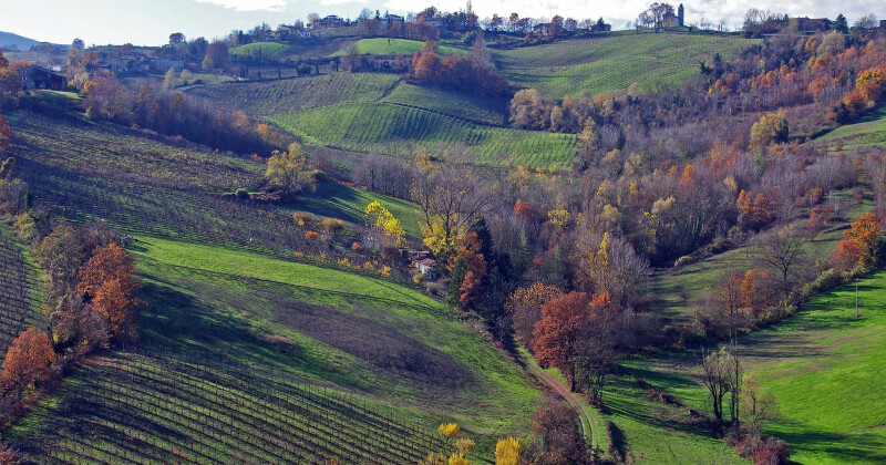 Billige rejser og roadtrips til Emilia-Romagna fra 1149 DKK