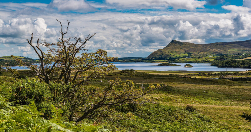 Billige rejser og roadtrips til Connemara fra 531 DKK