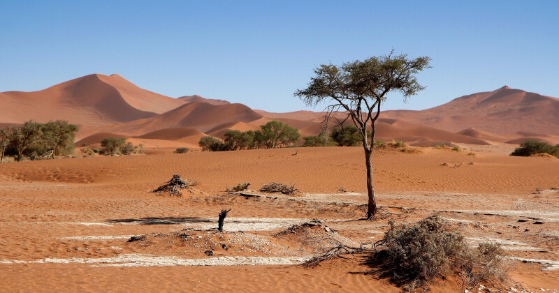 Flyv til Namibia for bare 3539 DKK