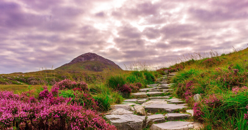 bravo tours vinterferie Roadtrip til Connemara fra 532 DKK