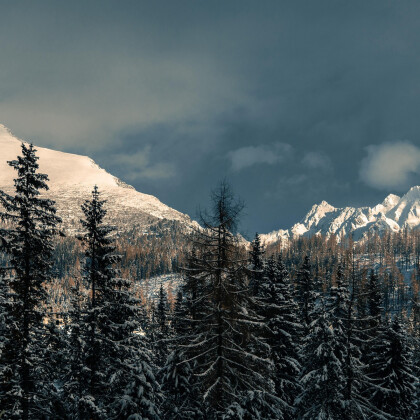 Billig ferie! Krakow og Tatrabjergene. Fly & Drive kun 620 DKK