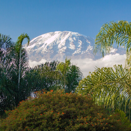 Flyv billigt til Kilimanjaro fra 2760 DKK